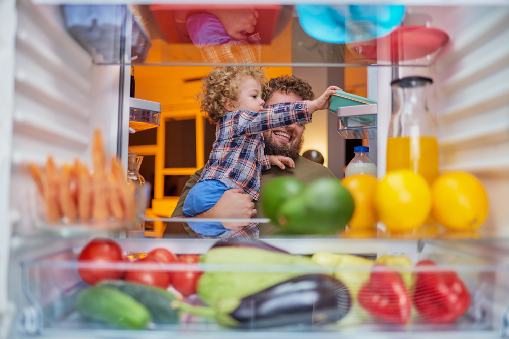 Compressor vs. Absorption Fridges: Which 12V Fridge Is Right for Your Caravan