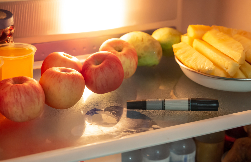 Which 12V Fridge Features Are Actually Worth Paying For?